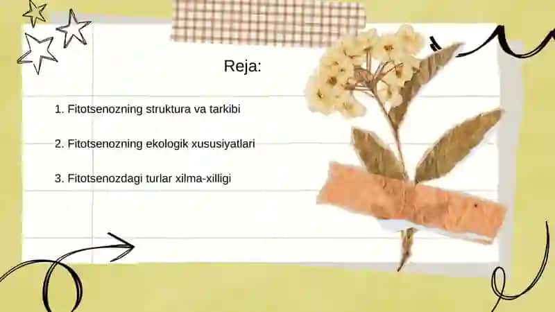 Fitotsenozning belgilari va xossalari. Sinmorfologiya 2