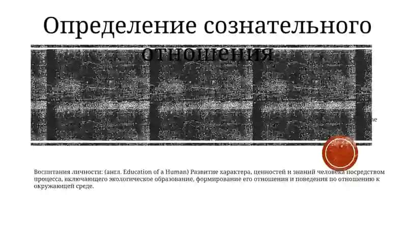 Формирование Сознательного Отношения К Окружающей Среде В Воспитании Личности 2