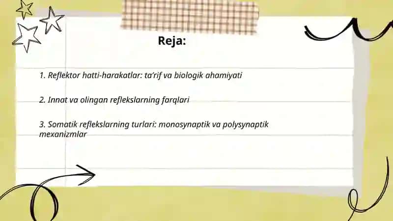 Reflektor hatti-harakatlar 2