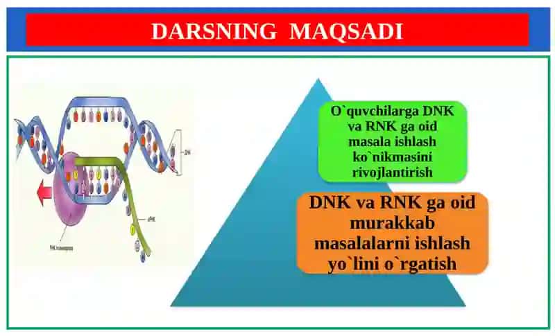 Genetika. DNK ga oid murakkab masalalarning ishlash usullari 2