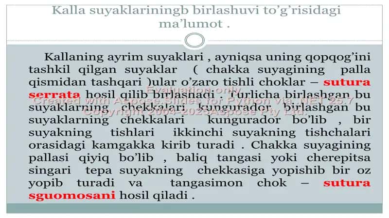 Kalla suyaklarining harakatchan va harakatsiz birikishlari 2