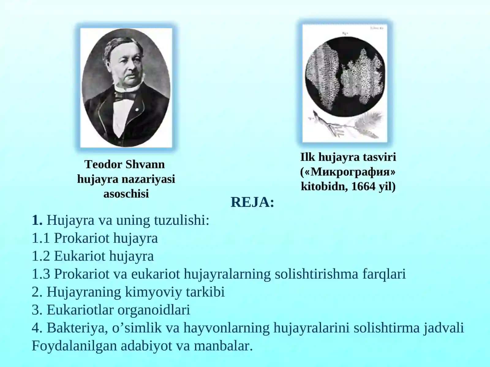 Hujayra va uning tuzulishi 2