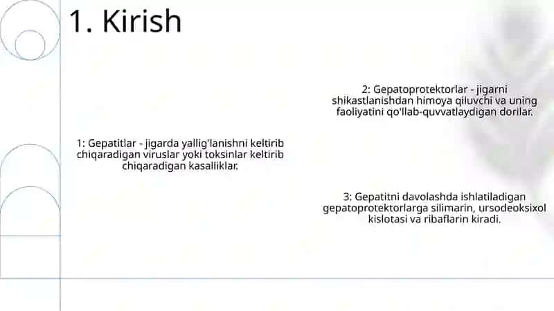 Gepatoprotektor Vositalar 2