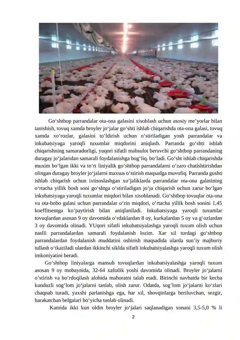AMALIYOT MASHG‘ULOT: PARRANDALARNING GO‘ SHTDORLIK SIFATINI BAHOLASH 2