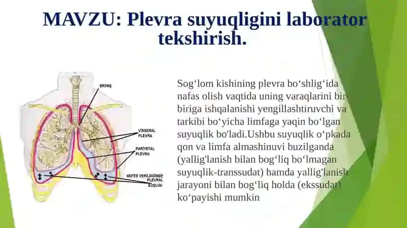 plevra suyuqligini labarator tekshirish 2