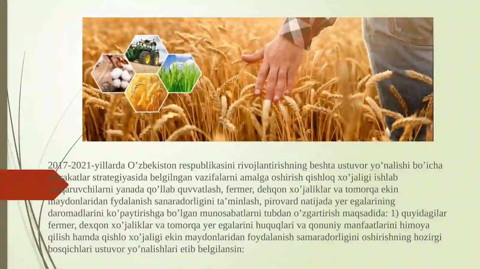 O’ZBEKISTONDAGI FERMER VA DEHQON XO’JALIKLARINI RIVOJLANTIRISH VAZIFALRI VA ISTIQBOLLARI 2
