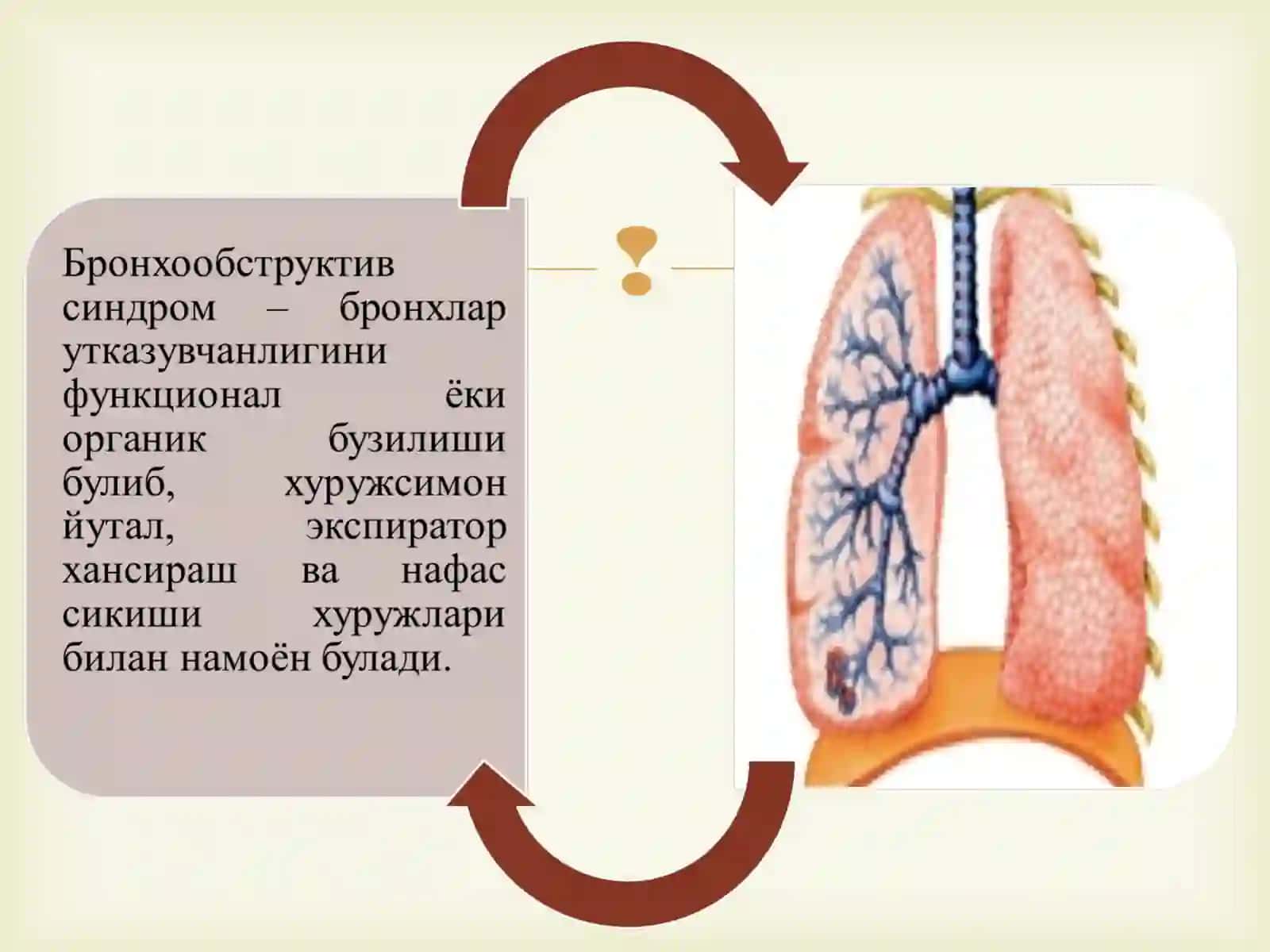 Сурункали упка обструктив касаллиги (СУОК) Bronxobstruktiv sindrom 2