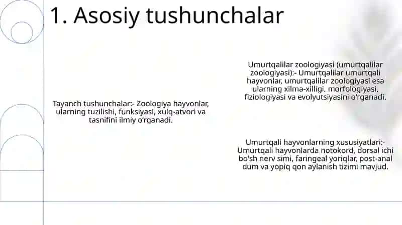 Umurtqalilar Zoologiyasi 2