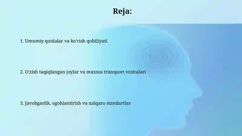Yo‘lharakatixavfsizliginita’minlashdaquvibo‘tishqoidalari 2