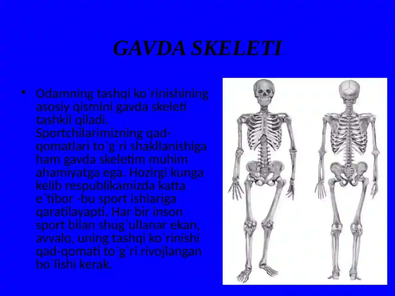 Odam gavdasi tashqi shaklining umumiy xarakteristikasi 2