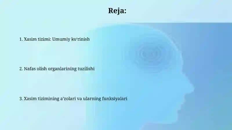 Xasim tizim azolari nafas olish orginlarning tuzilishi 2