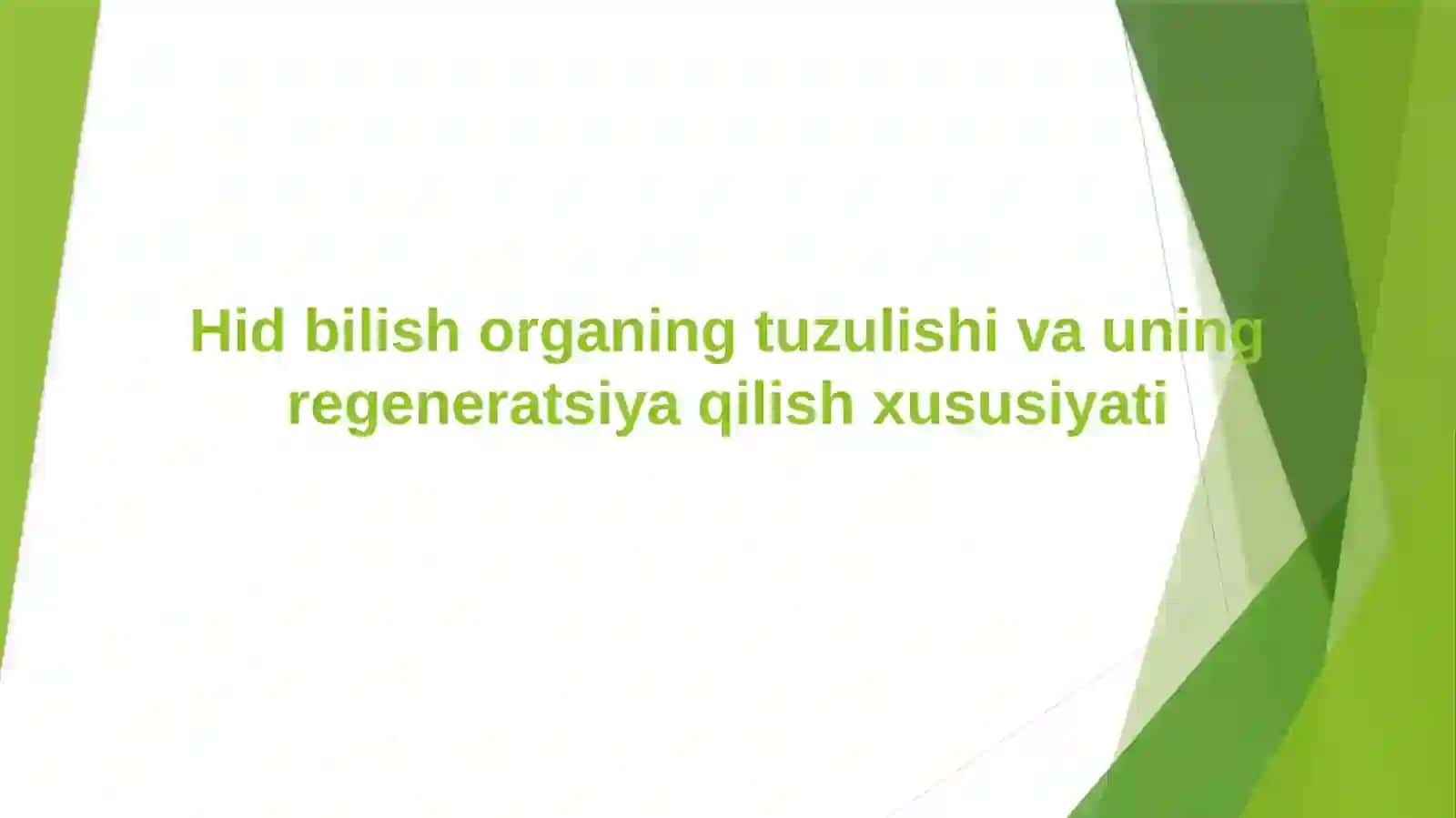 Hid bilish organing tuzulishi va uning regeneratsiya qilish xususiyati 2