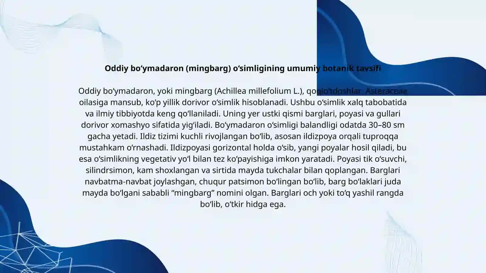 Oddiy bo‘ymadaron (mingbarg) (Achillea millefolium L.) o‘simligining urug‘chiligi 2
