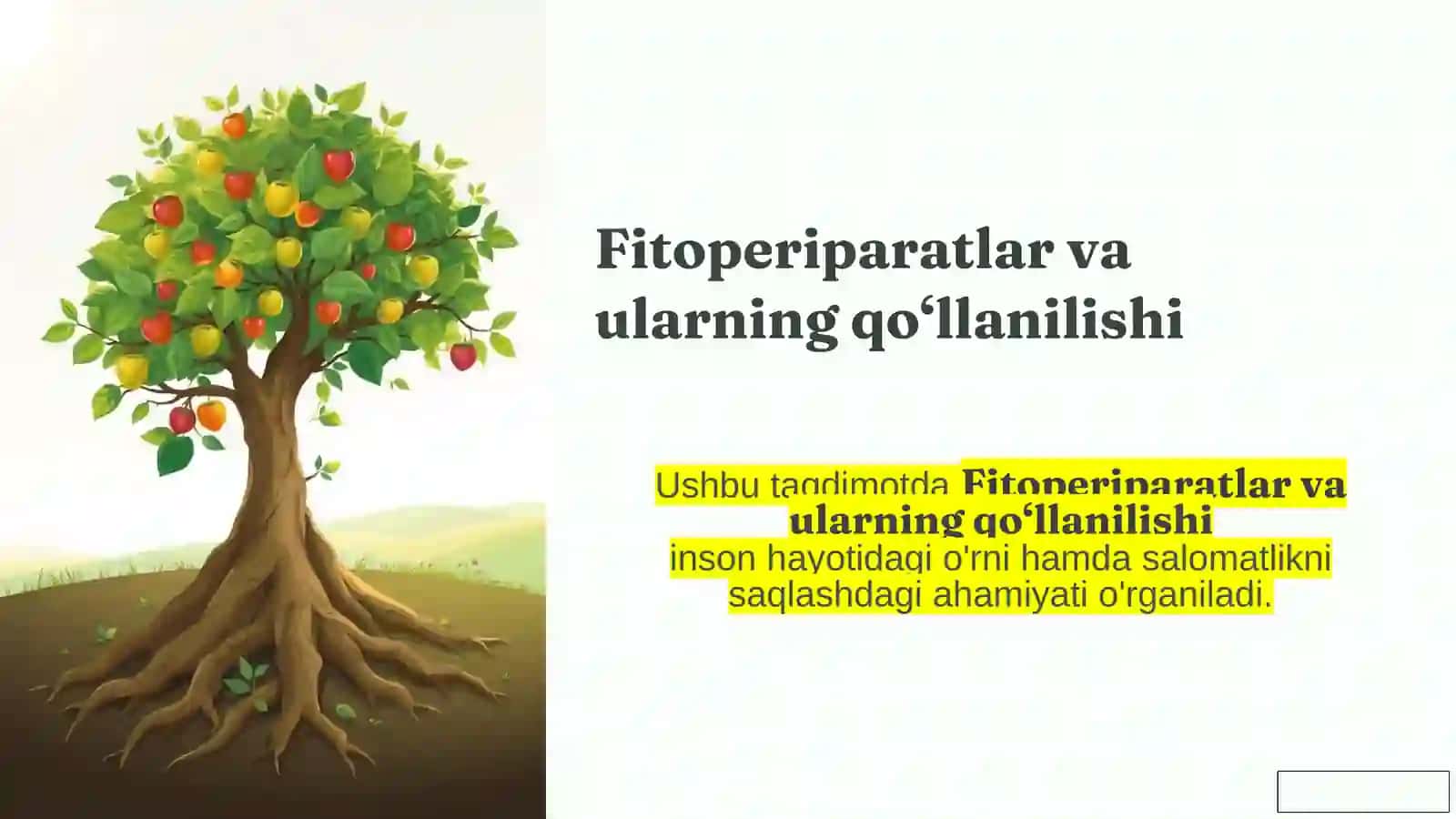 Fitoperiparatlar va ularning qo‘llanilishi 2