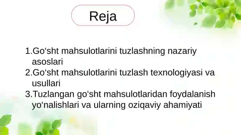 Go'sht mahsulotlarini tuzlash va ulardan foydalanish 2
