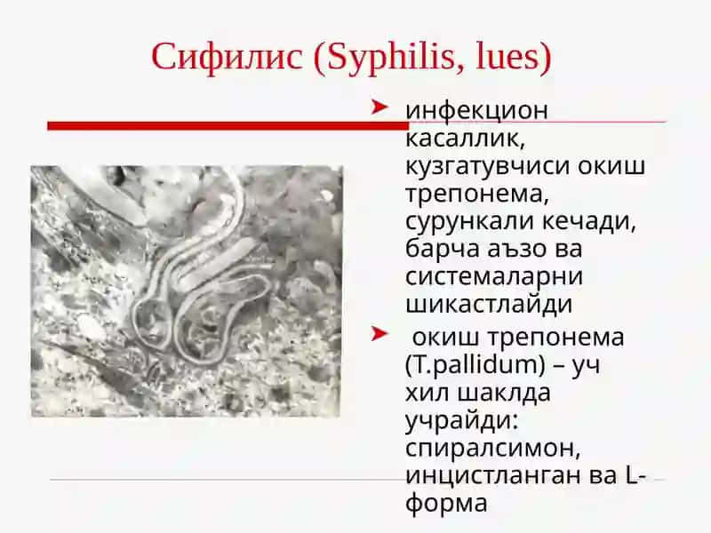Сифилис (Syphilis, lues) 2