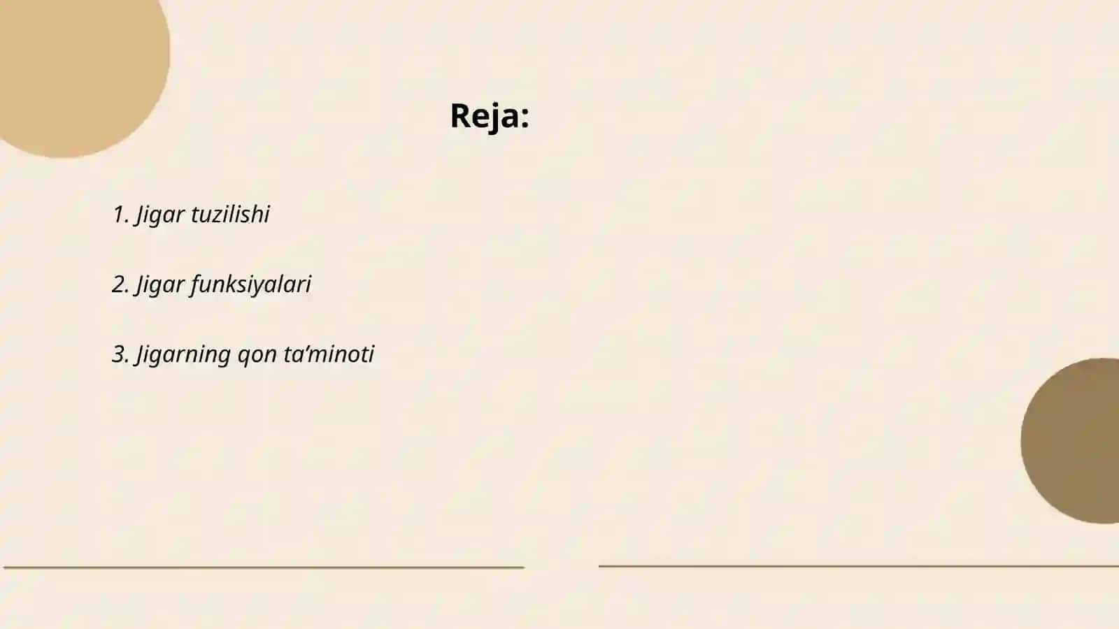 Jigar Anatomiyasi 2