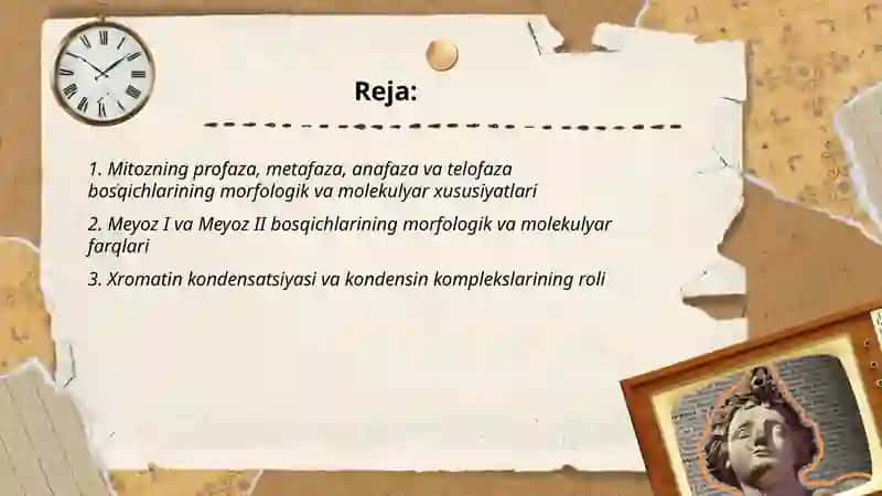 Mitoz va meyoz jarayoni: hujayra bo'linishining molekulyar morgologik bosqichlari ahamiyati 2
