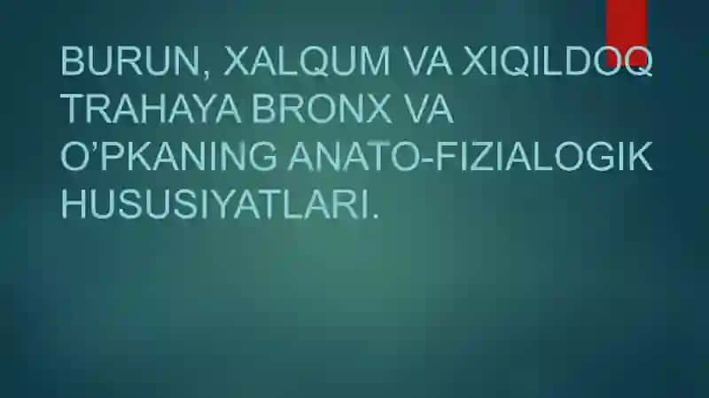 Bronx va o'pka anatomiyasi 2