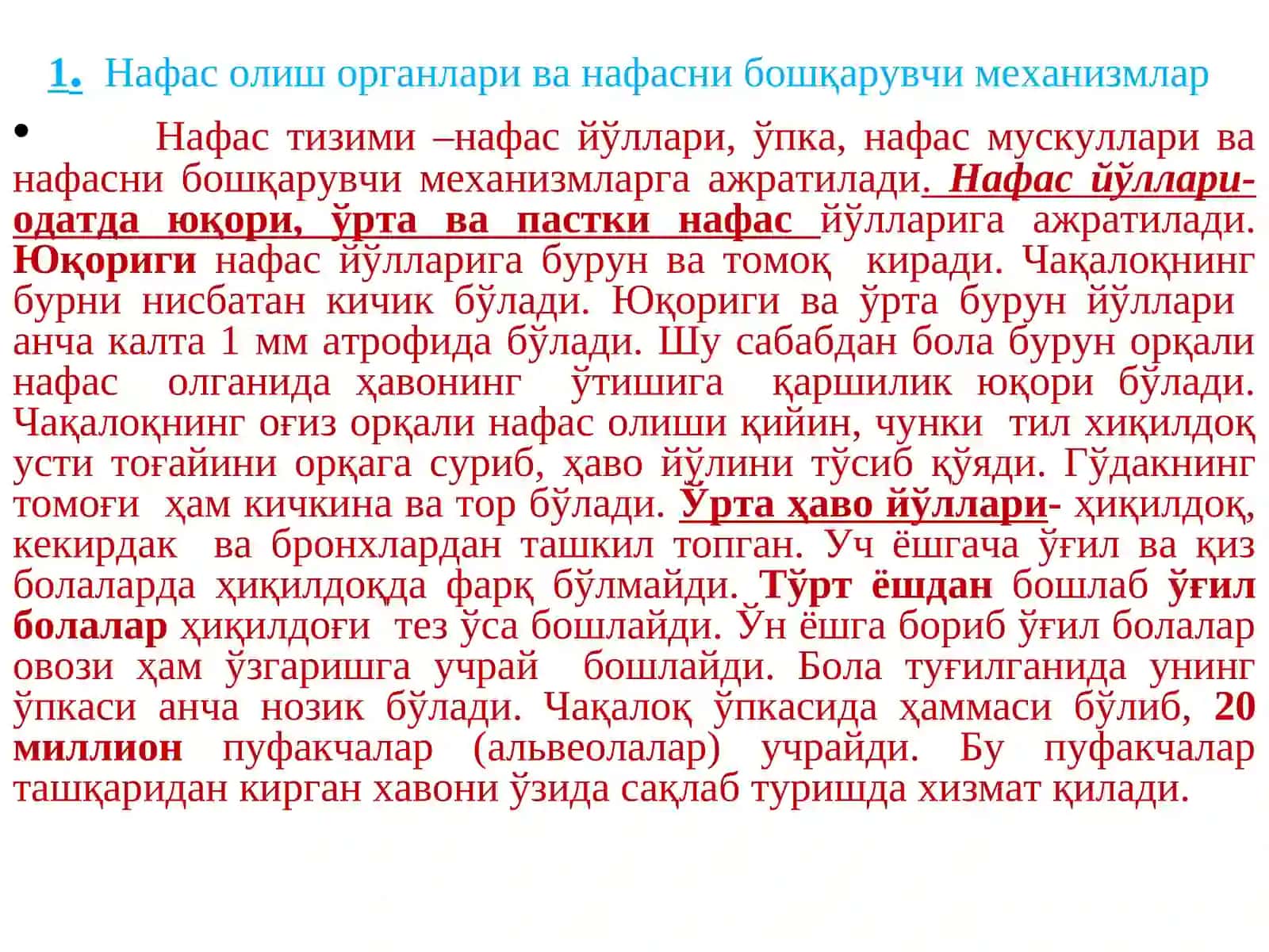 НАФАС ОЛИШ ТИЗИМИНИНГ ТУЗИЛИШИ, ФУНКЦИЯСИ, ЁШГА ОИД ХУСУСИЯТЛАРИ 2
