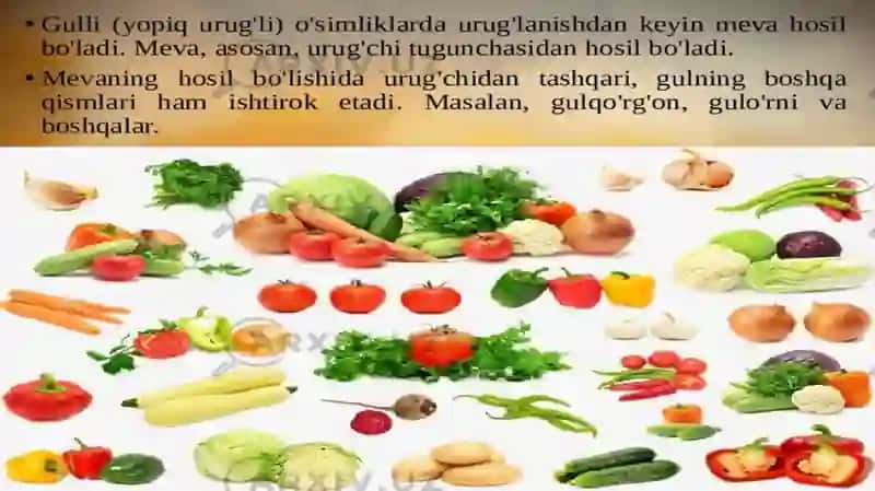 Mevalar To‘g‘risida malumotlar 2