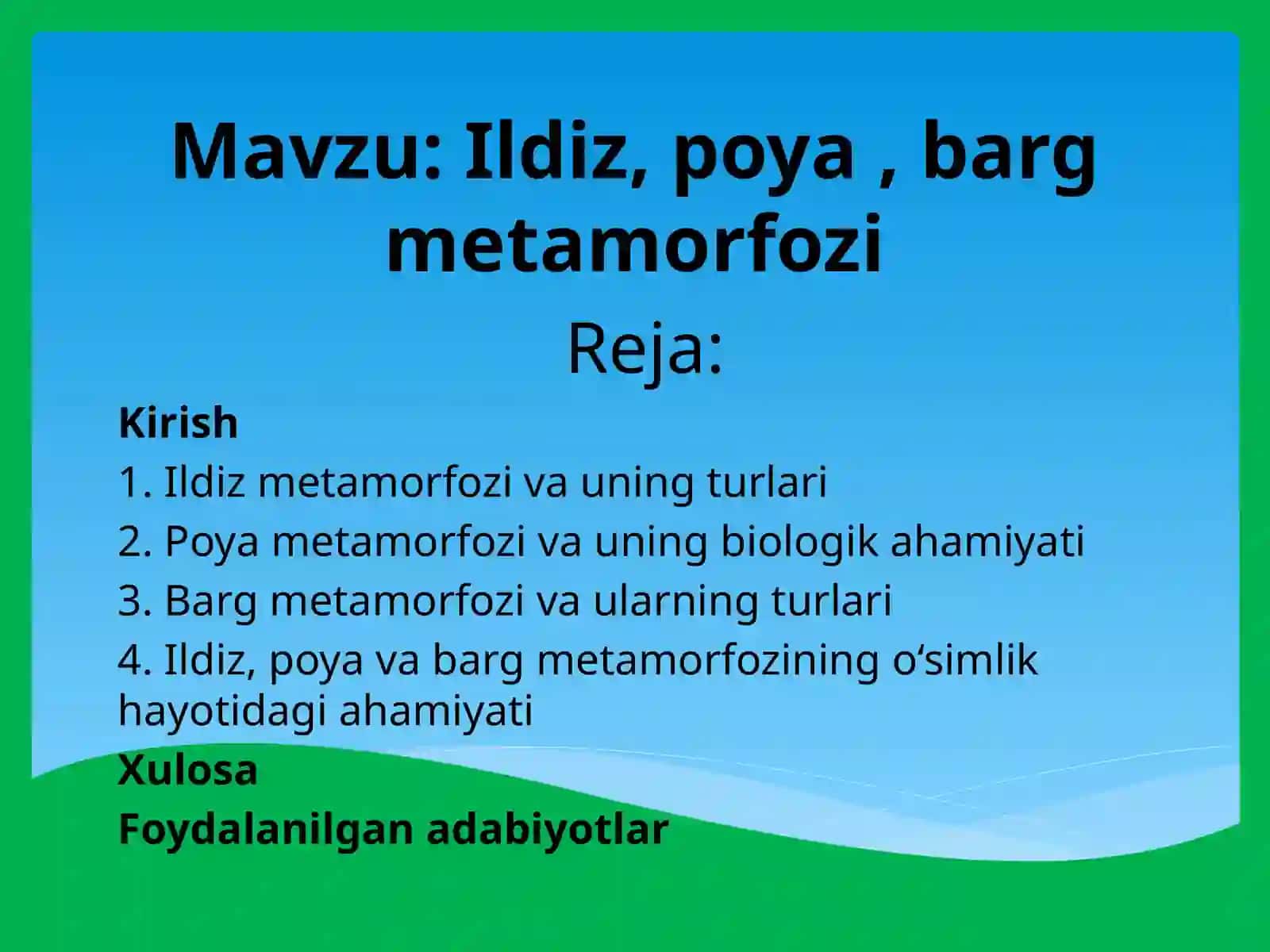 Ildiz, poya , barg metamorfozi 2