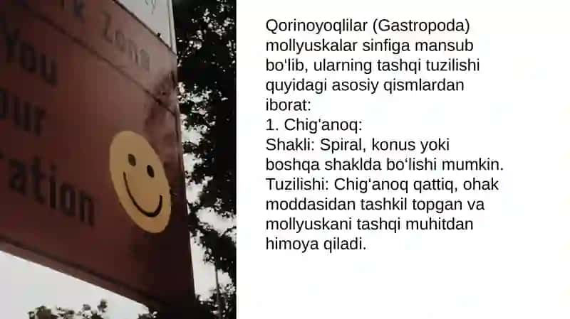 Qorinoyoqlilar (Gastropoda) mollyuskalar sinfi 2