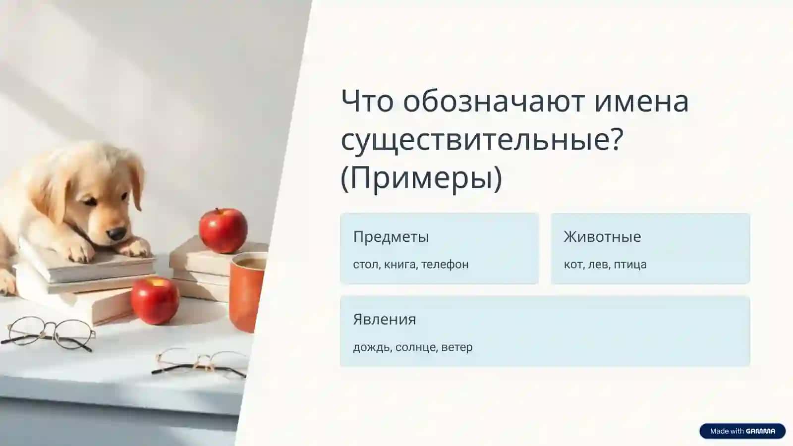 Имя существительное 2