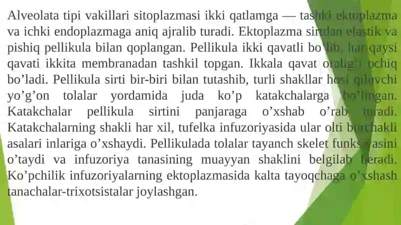 ALVEOLATATIPI 2