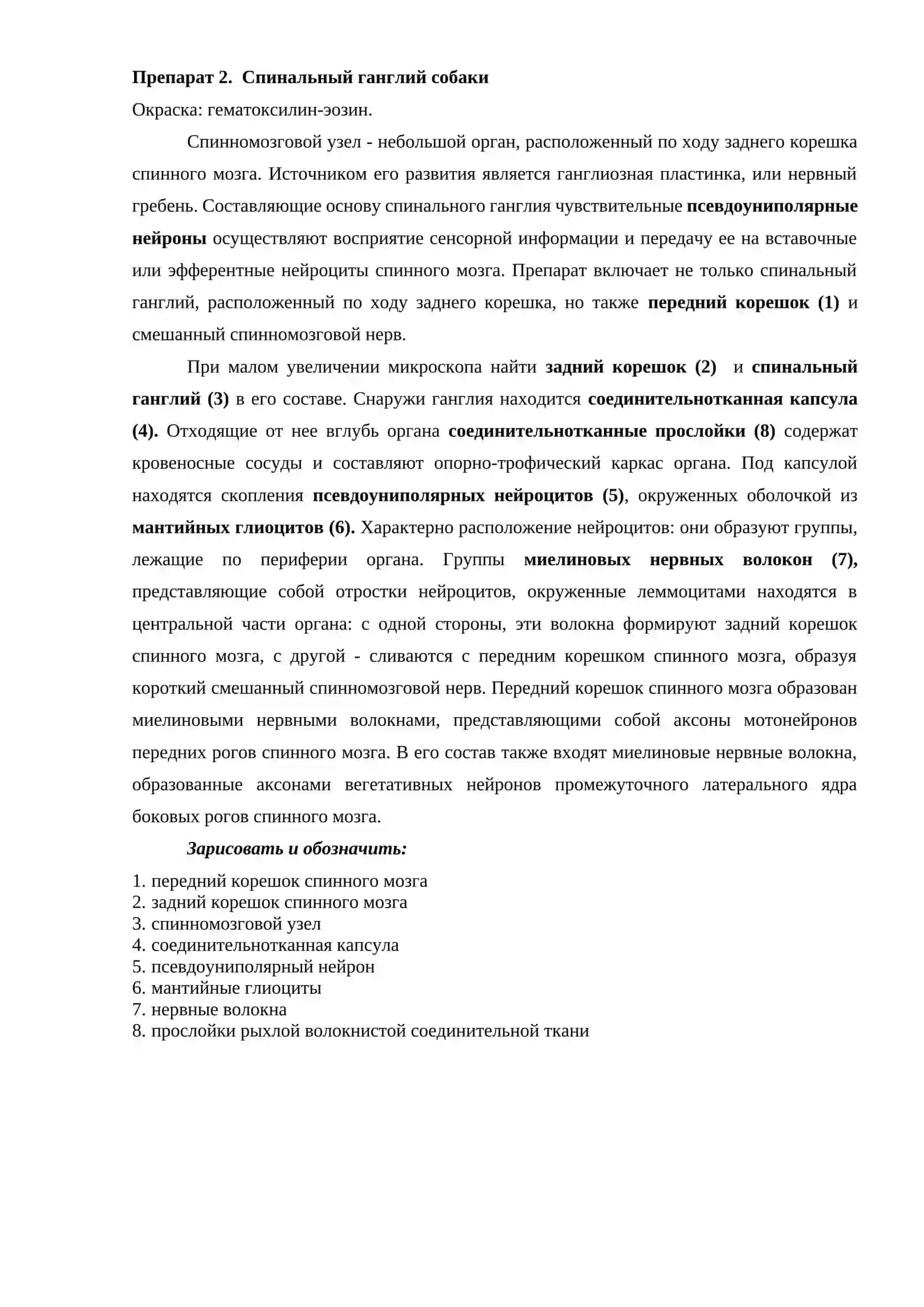 НЕРВНАЯ СИСТЕМА 2