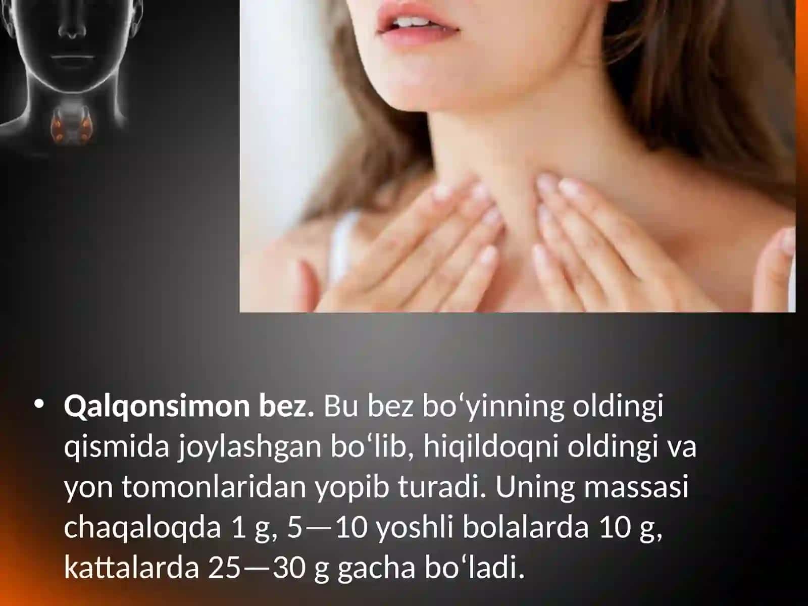Qalqonsimon, qalqon orqa va ayrisimon bezlar 2