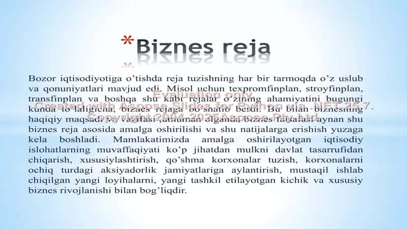 Kichik biznes va xususiy tadbirkorlik faoliyatini rejalashtirish. Biznes reja 2