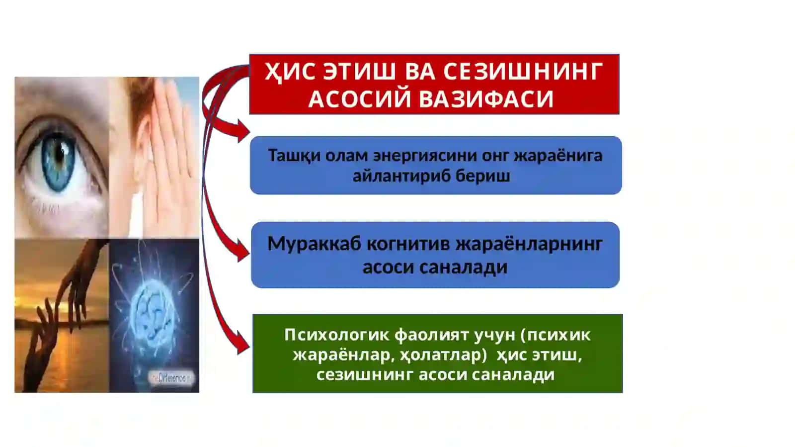 СЕНСОР ДЕПРИВАЦИЯ 2
