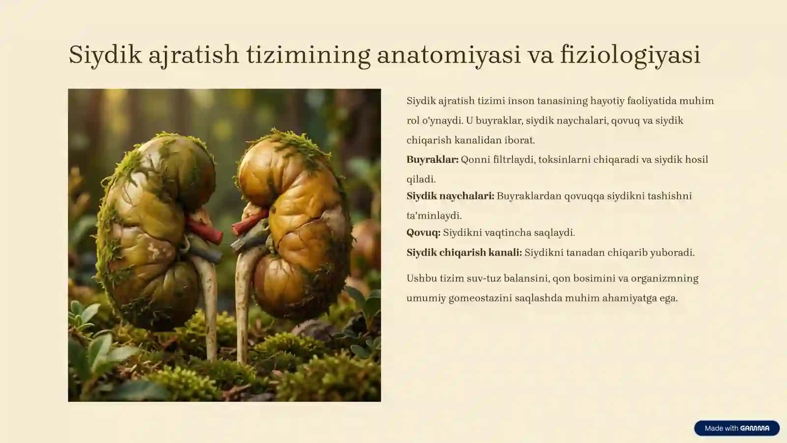Siydik ajratish a'zolari kasalliklari: Keng qamrovli tahlil 2