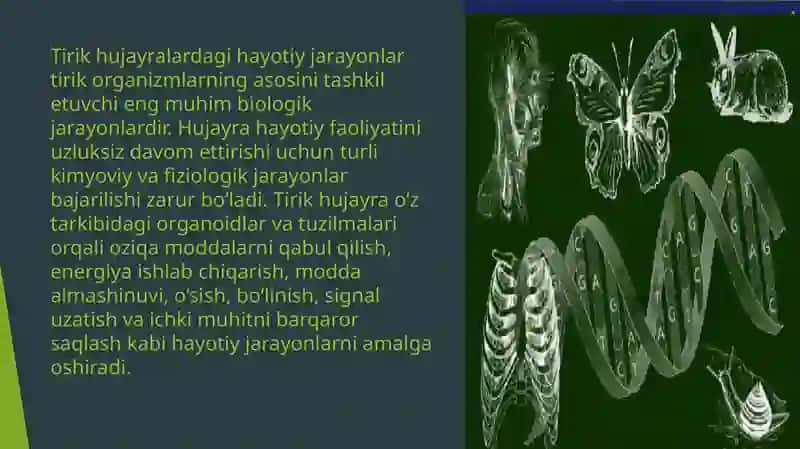 Tirik hujayralardagi hayotiy jarayonlar 2