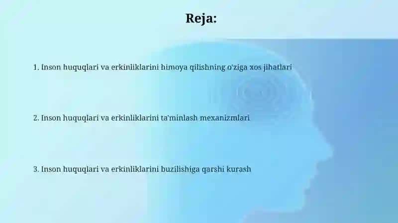 Inson huquqlari va erkinliklarini himoya qilishning o'ziga xos jihatlari 2