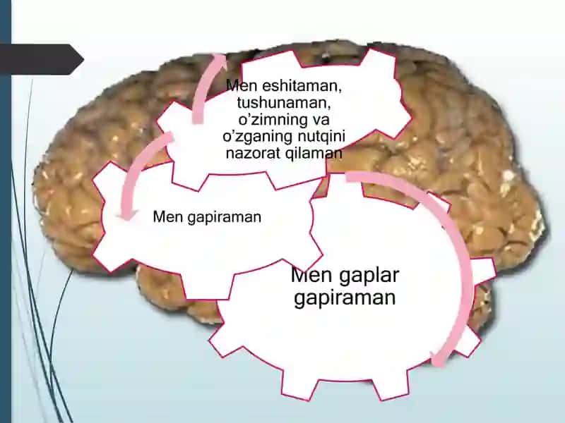 Аfaziyashakllari 2