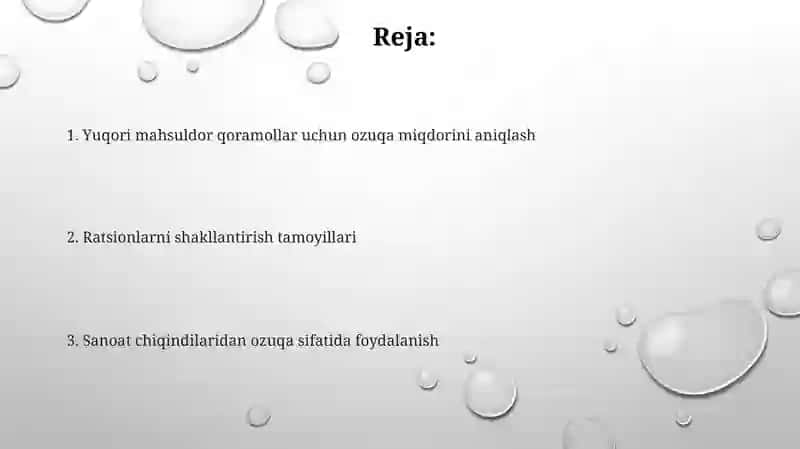 Go'shtbob zotli sigirlarga ozuqa miqdori belgilash va ratsion tuzish 2