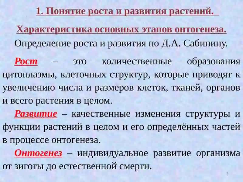 Развитие растений.Фотопериодизм и яровизация 2