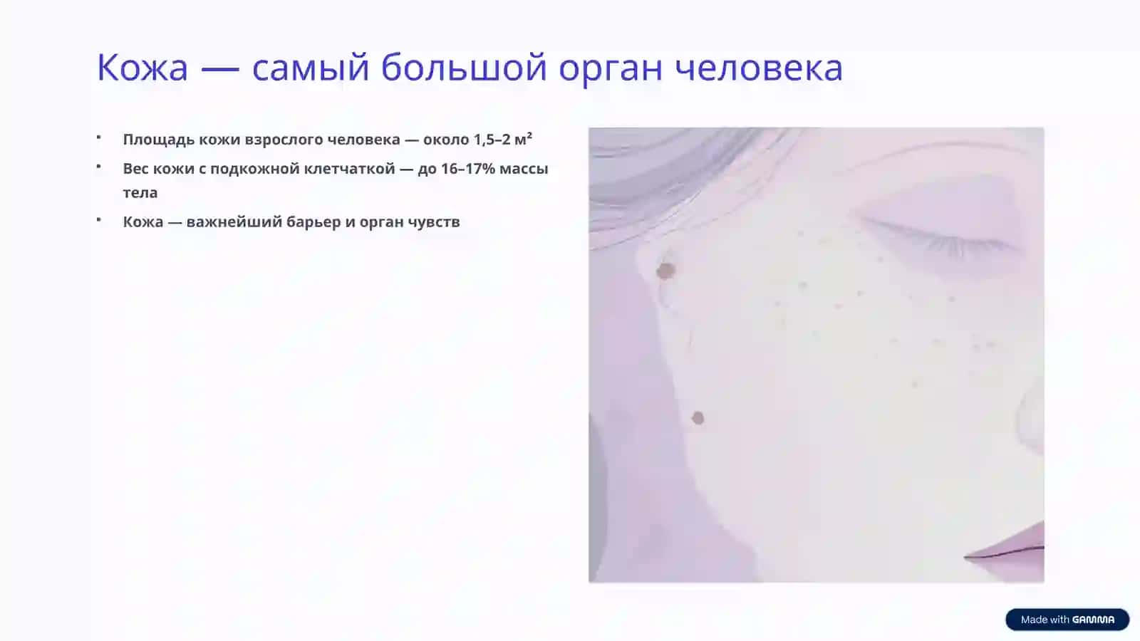 Строение и состав кожи человека: удивительный мир под нашей кожей 2