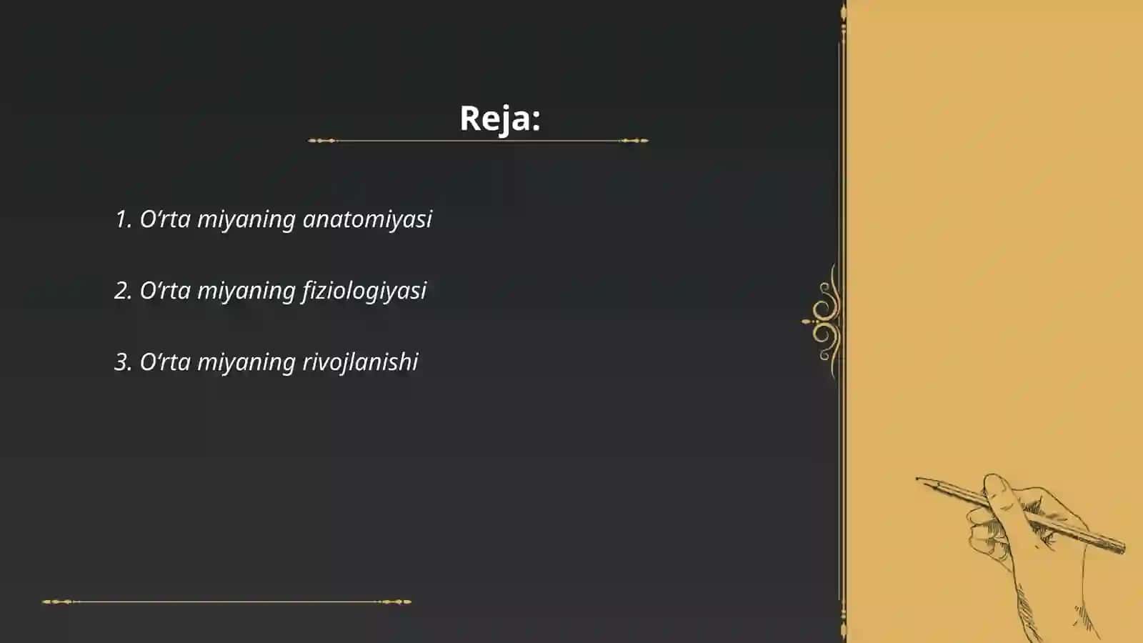 O‘rta miyaning asosiy yadrolari 2