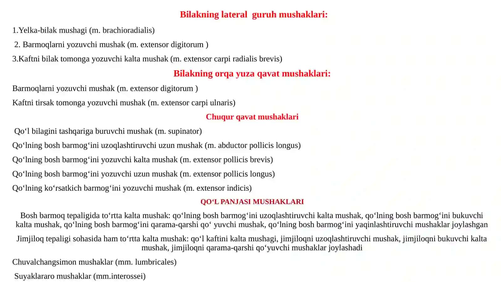 Qo’lmuskullari 2