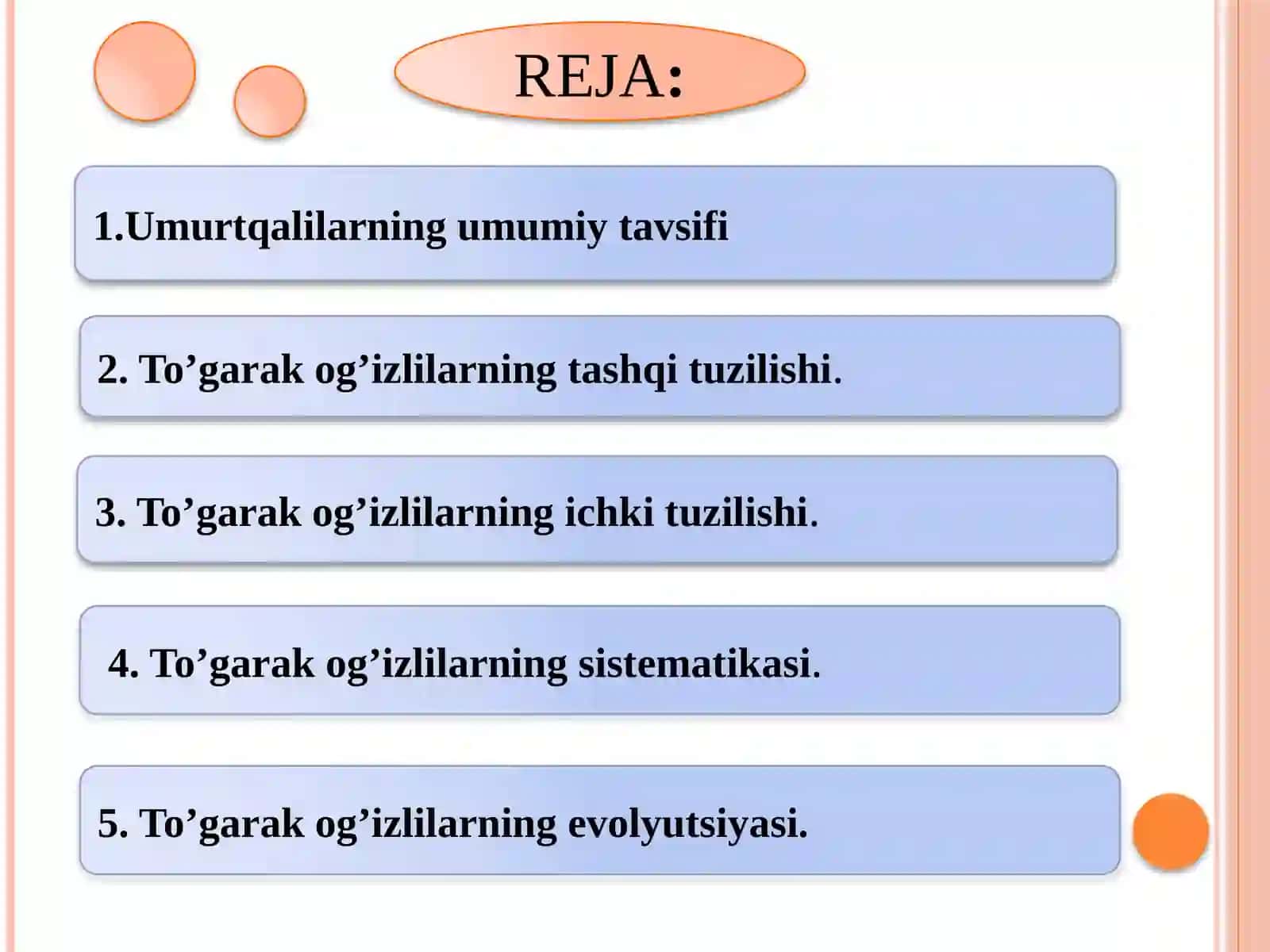 Umurtqalilarkenjatipi 2