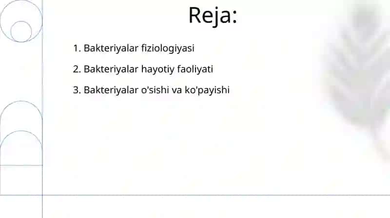 Bakteriyalar fiziologiyasi va hayot faoliyati 2