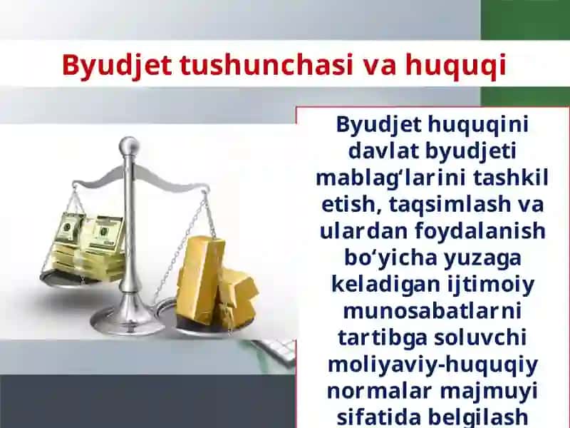 Byudjet Tizimi 2