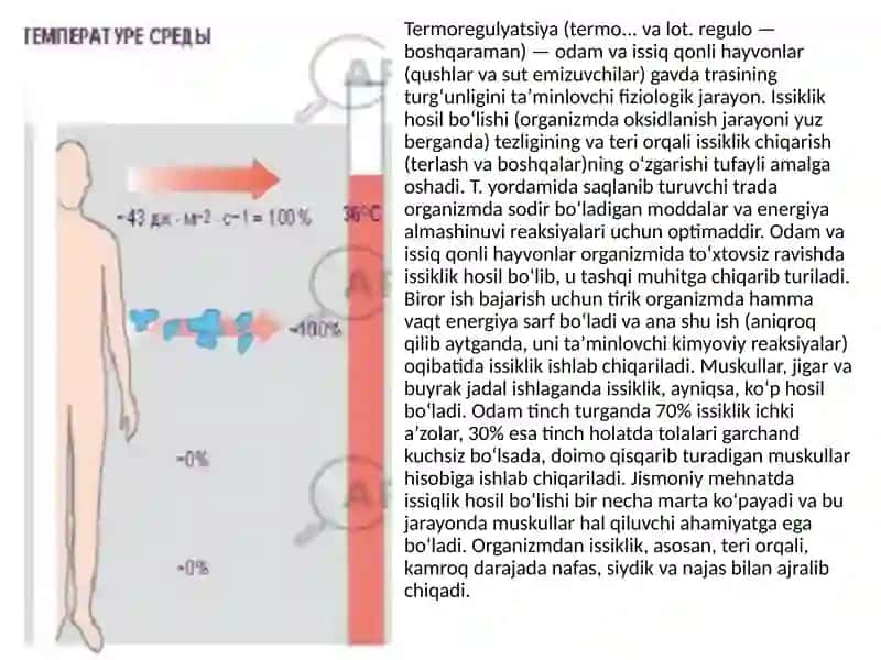 Issiqlik almashinuvi fiziologiyasi.Termoregulyatsiya 2