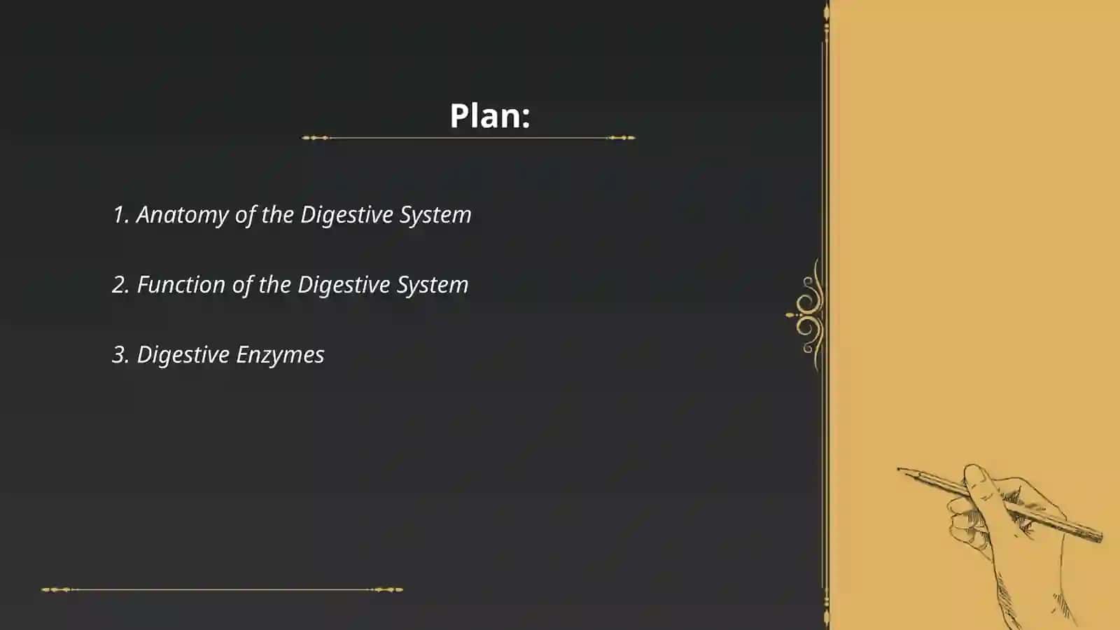 Digestive System 2