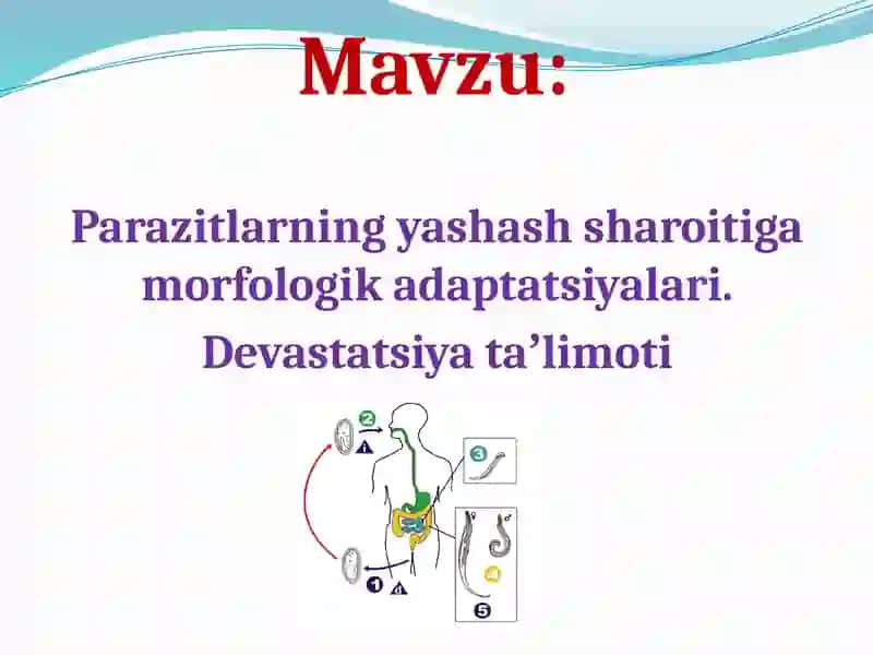 Parazitlarning yashash sharoitiga morfologik adaptatsiyalari. 2