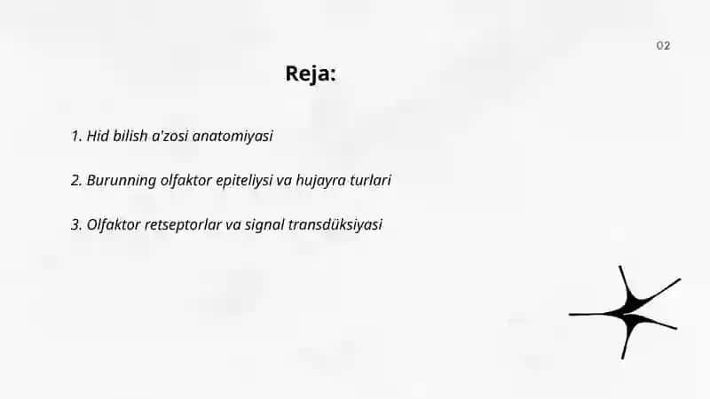 Hid bilish a'zosi anatomiyasi 2