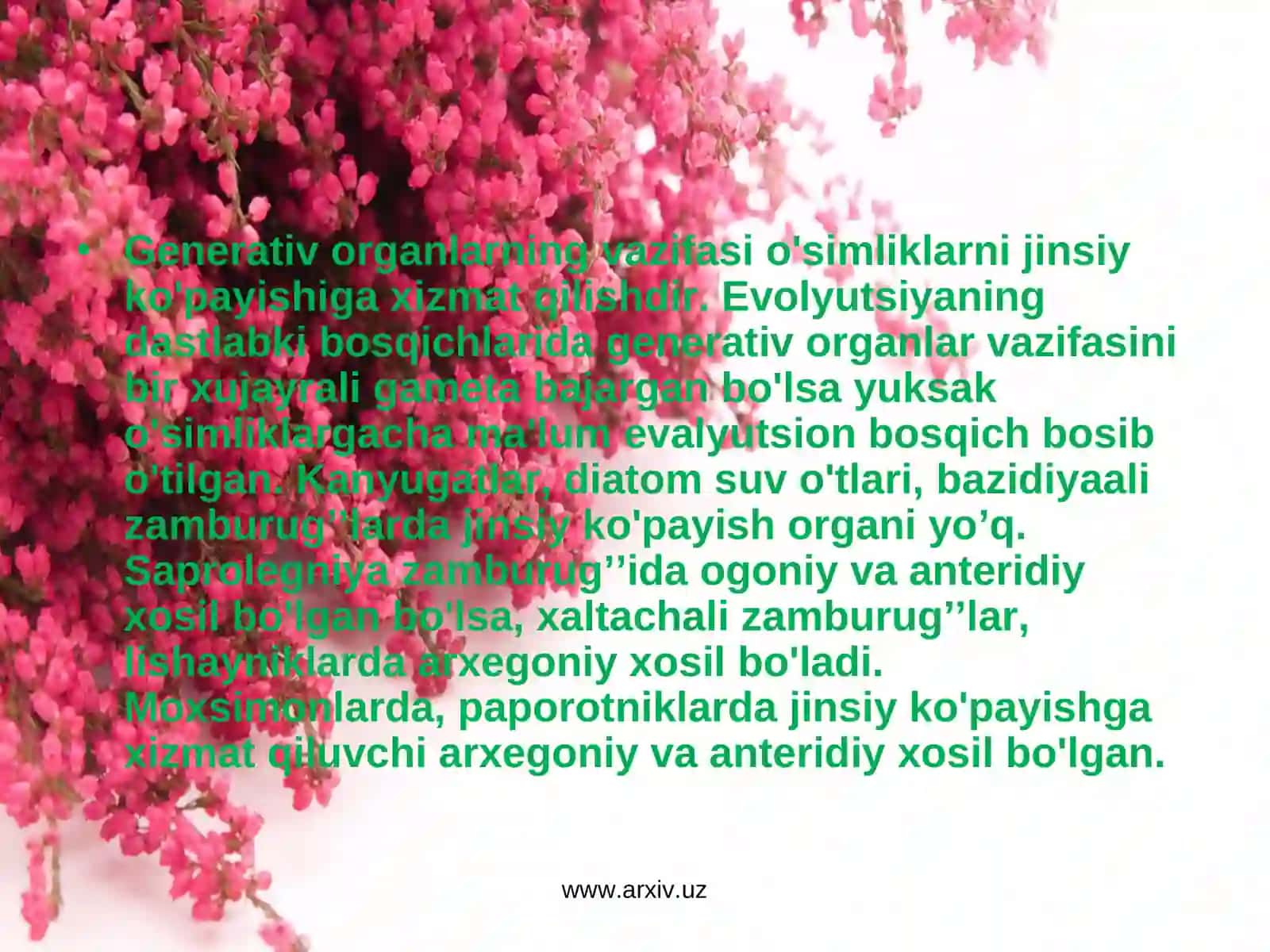 Gulning kelib chiqishi, gul morfologiyasi 2